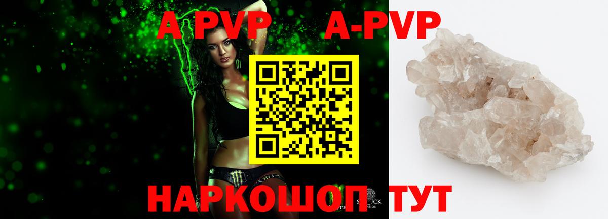 Альфа ПВП СК КРИС Ростов-на-Дону