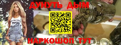 apvp Бердск