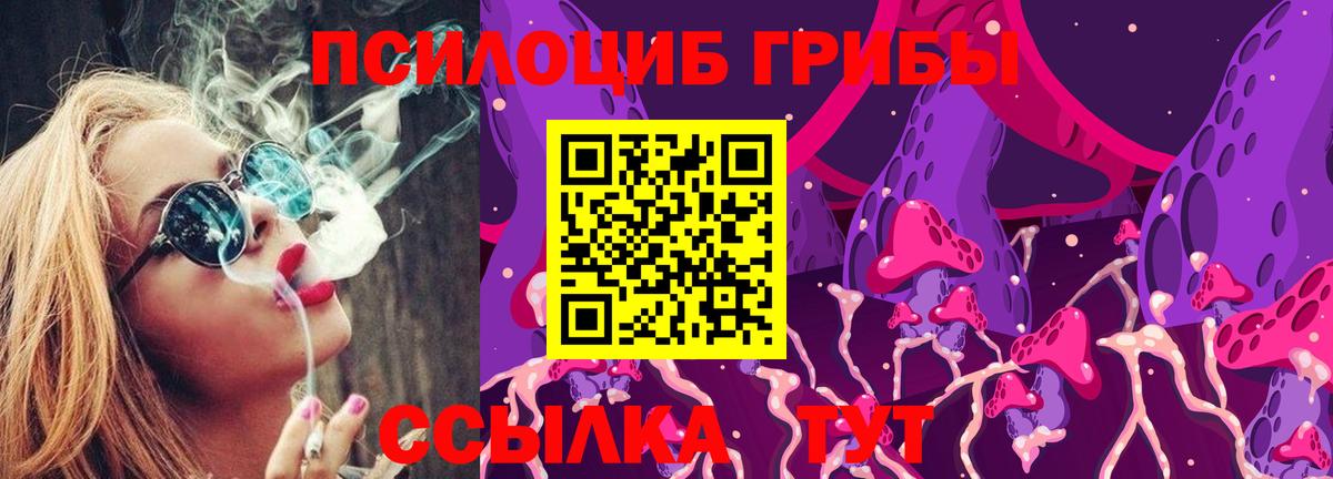 Галлюциногенные грибы прущие грибы Ростов-на-Дону