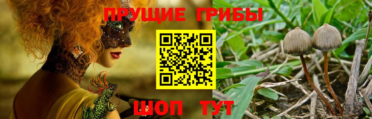 Псилоцибиновые грибы Psilocybe  Вход с VPN  где можно купить наркотик  Ростов-на-Дону 